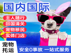 天津航空快递国际宠物托运 【国